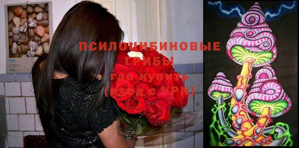 шишки Бугульма