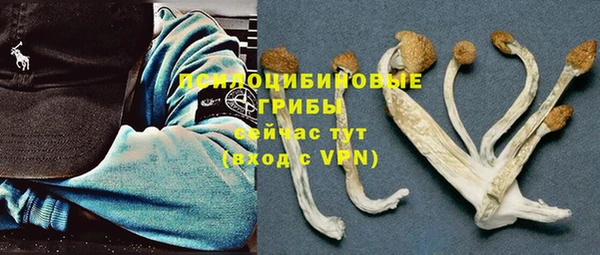 COCAINE Богданович