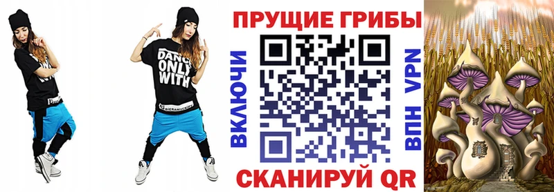Галлюциногенные грибы Psilocybine cubensis  Выборг 