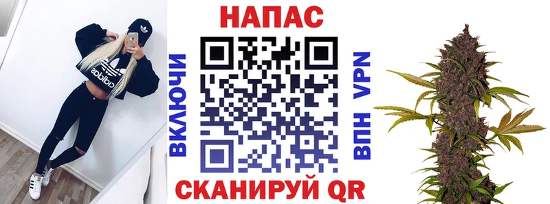 Конопля сатива  купить  цена  Выборг 